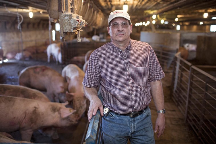 Image: Chuck Wirtz, owner of Riverdale Ranch, on his pig farm
