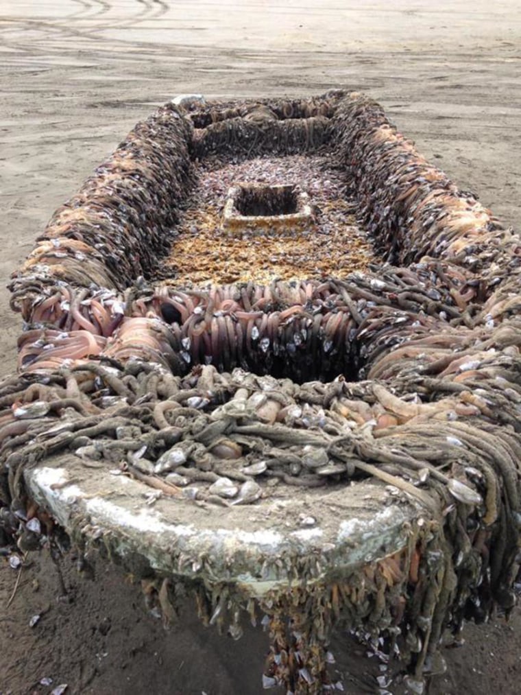 Image: A small boat that authorities believe to be from the 2011 Japanese tsunami washed ashore along the Washington coast Monday morning.