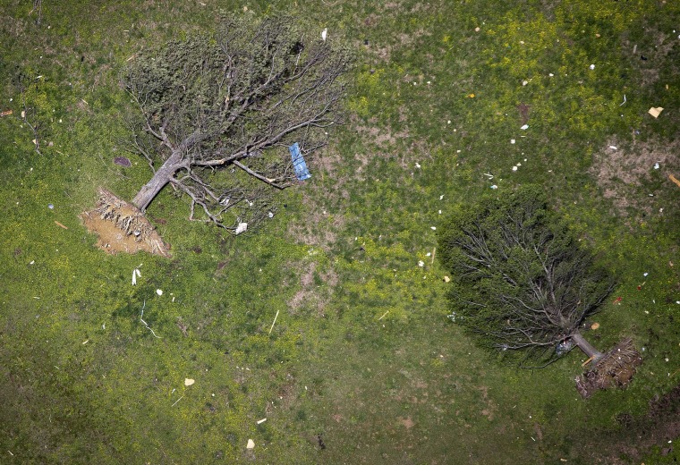 Image: Uprooted trees are pictured after a tornado hit Vilonia, Arkansas