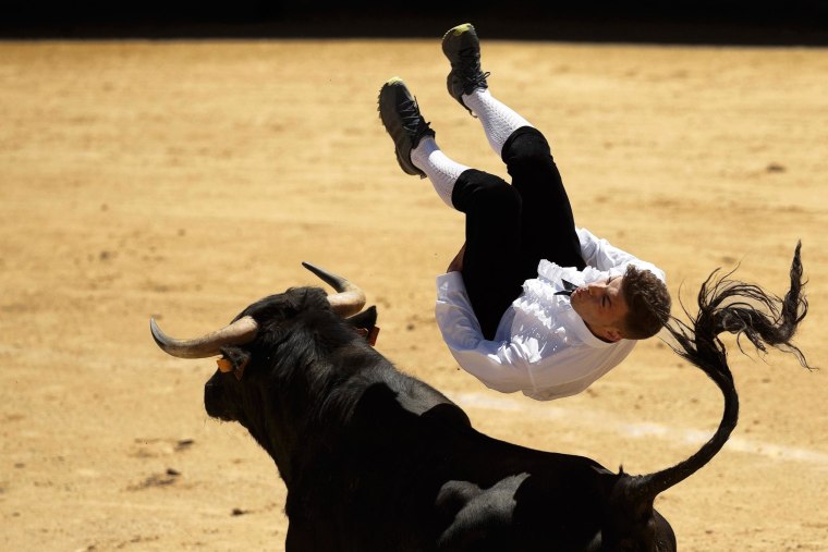 Image: A 'recortador' jumps over a bull during a bullfight in Madrid, Spain