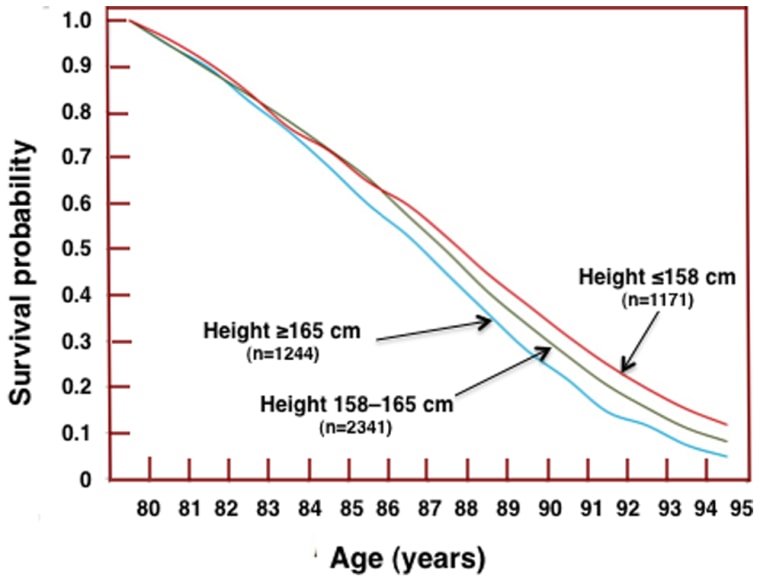 Image: Height vs. longevity chart