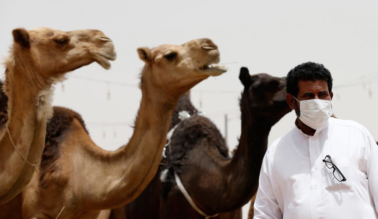Image: A man wearing a mask looks on as he stands in front of camels at a camel market in the village of al-Thamama near Riyadh