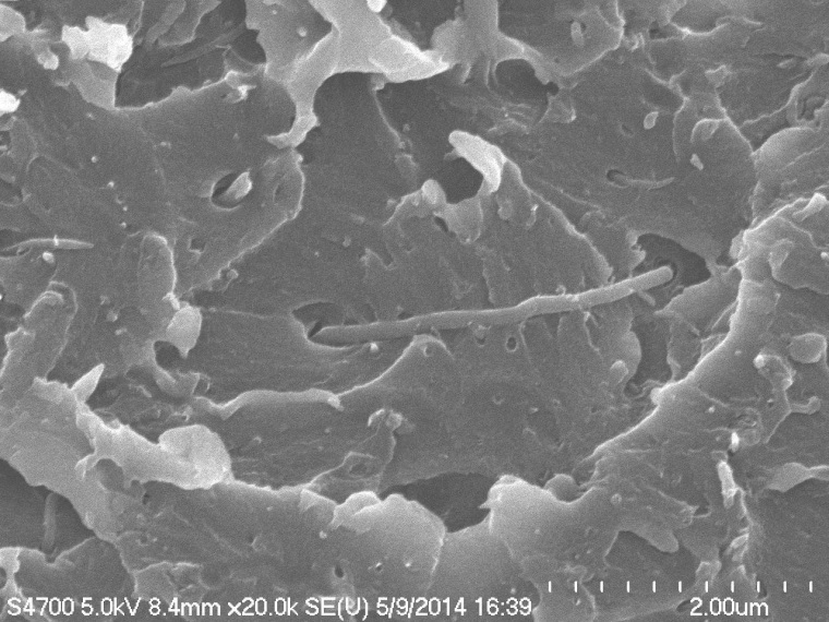 A scanning electron microscope image of the polymer accidentally created in IBM's lab.