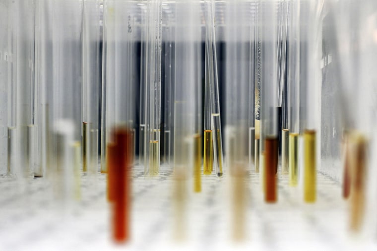Sample analysis tubes are seen in a lab at the Institute of Cancer Research in Sutton on July 15, 2013.
