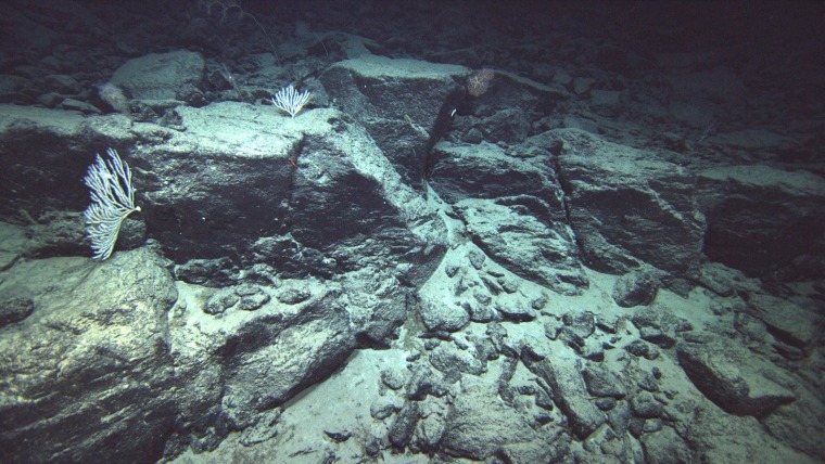 Image: Miscellaenous lava formations from the underwater Ka‘ena Volcano in Hawaii