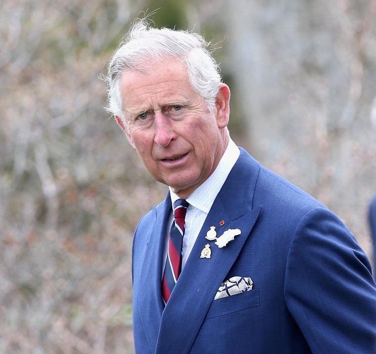 Image: Prince Charles in May 2014