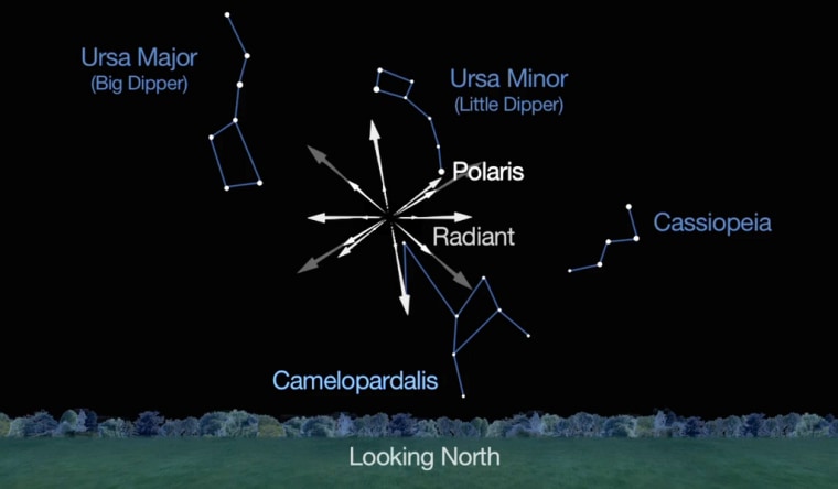 Image: Camelopardalid map