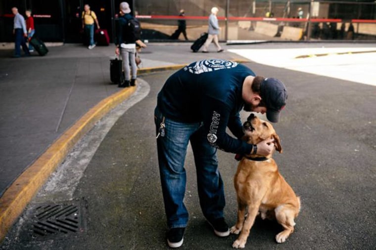 Image: U.S. Marine Corps veteran Sergeant Deano Miller, left, is reunited with military working dog Thor