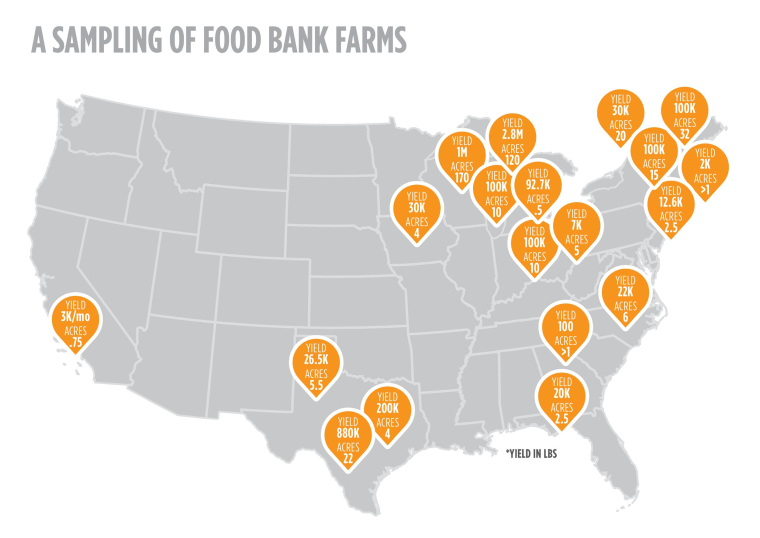 Image: Food bank farms