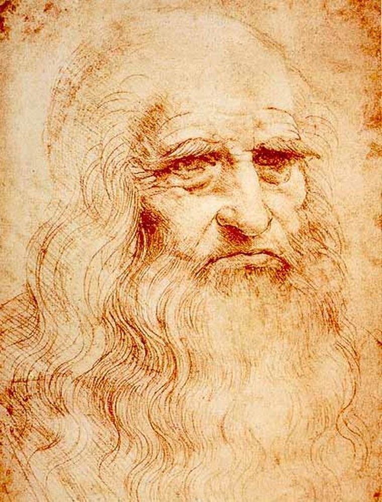 Image: Leonardo portrait