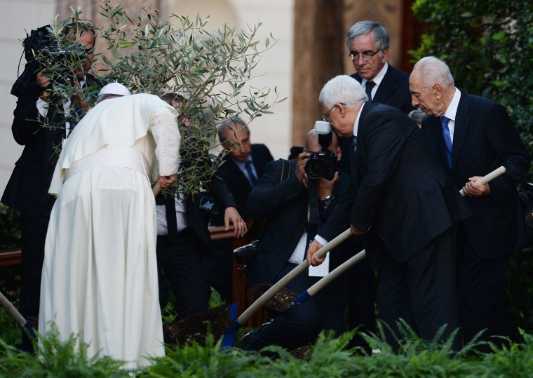 Image: Palestinian leader Mahmoud Abbas (C), Pope Francis (L) and Israeli President Shimon Peres (R) plant an olive tree
