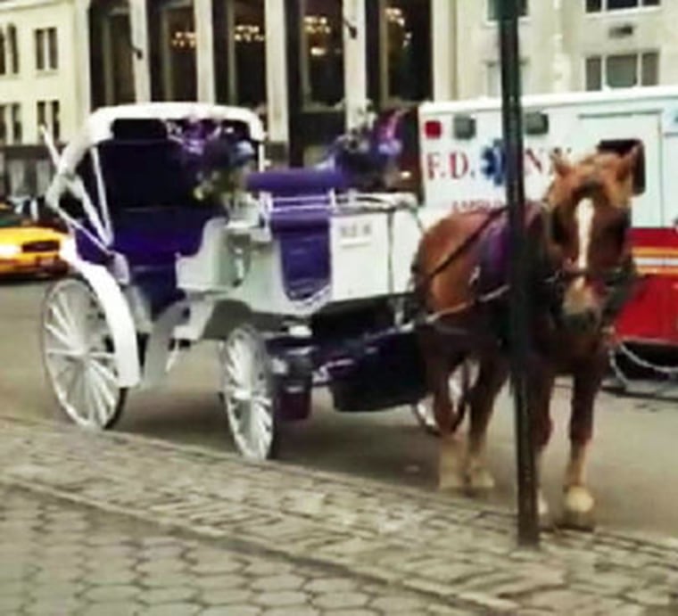 Image:  A carriage horse bolted on the streets of midtown Monday evening, galloping through Central Park and several streets before slamming into a yellow cab, crushing its door, police say.