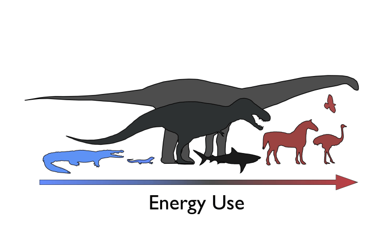 Image: Energy use