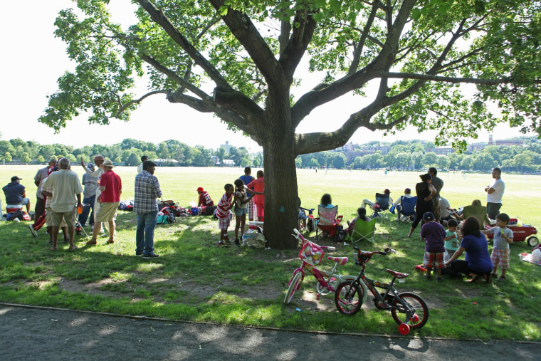 Cricket fans watch matches from the shade of a tree in Van Cortlandt Park in Bronx, N.Y., on June 15.