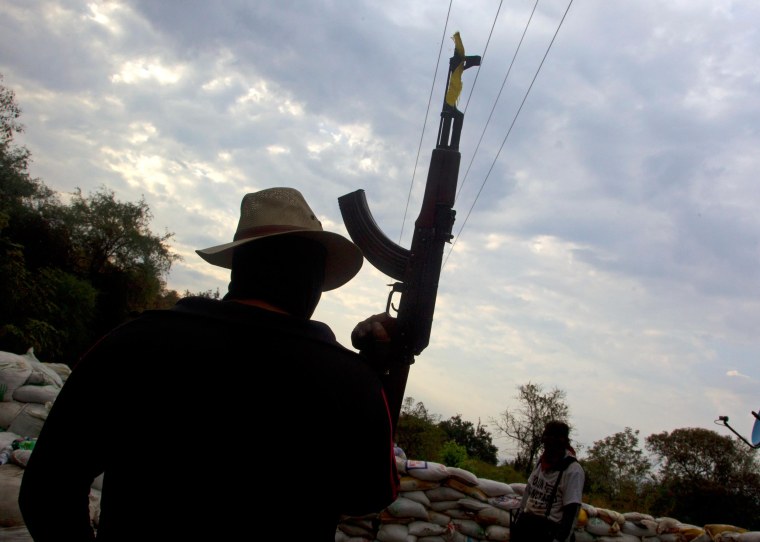 Image: Armed members of the citizens' self-protection police in Mexico's Michoacan State