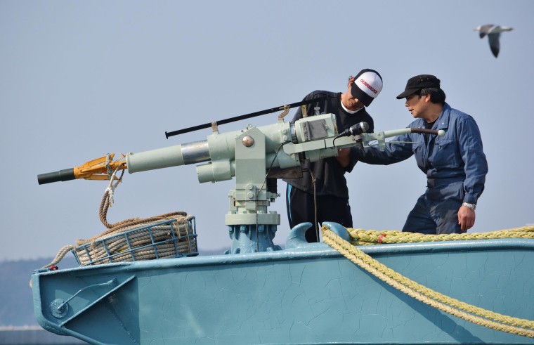 Image: Crew of a whaling ship check a whaling gun
