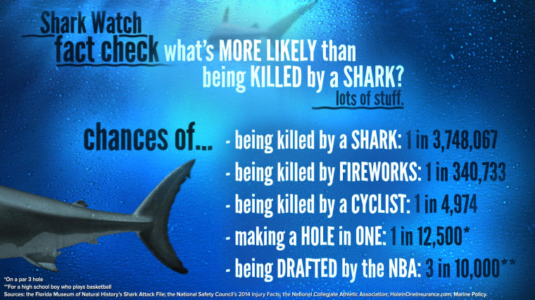 Image: Shark Watch Fact Check
