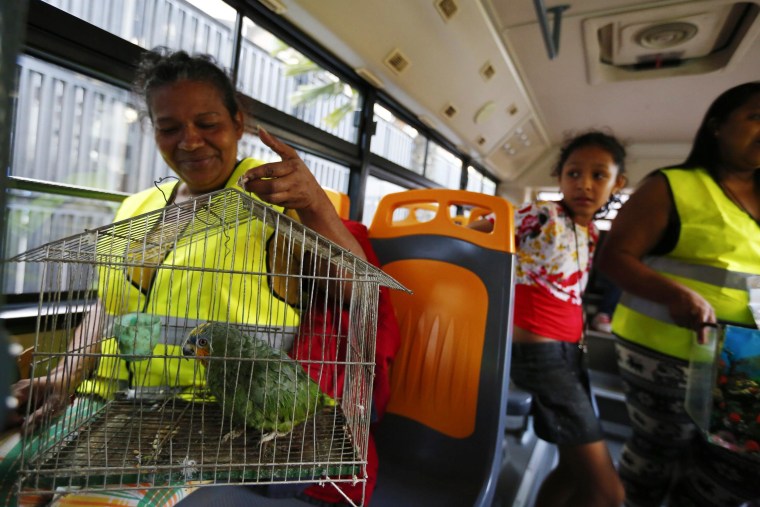Image: Evicted resident of Tower of David Maria Davila and her parrot Coti sit in a bus which will transport them to their new home in Caracas