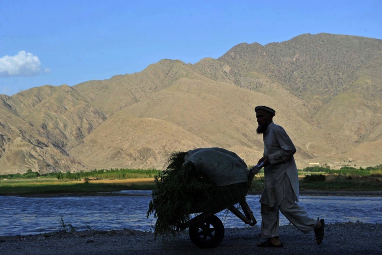 AFGHANISTAN-AGRICULTURE