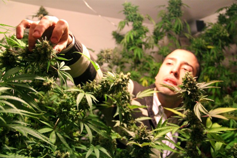 image: Martin wants to grow Uruguay's best weed at his Montevideo apartment