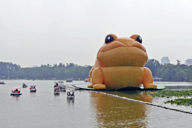 Image: A giant inflatable toad is seen floating on a lake at the Yuyuantan Park in Beijing