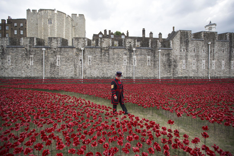 Image: BESTPIX Volunteers Continue To Plant Ceramic Poppies At Tower Of London