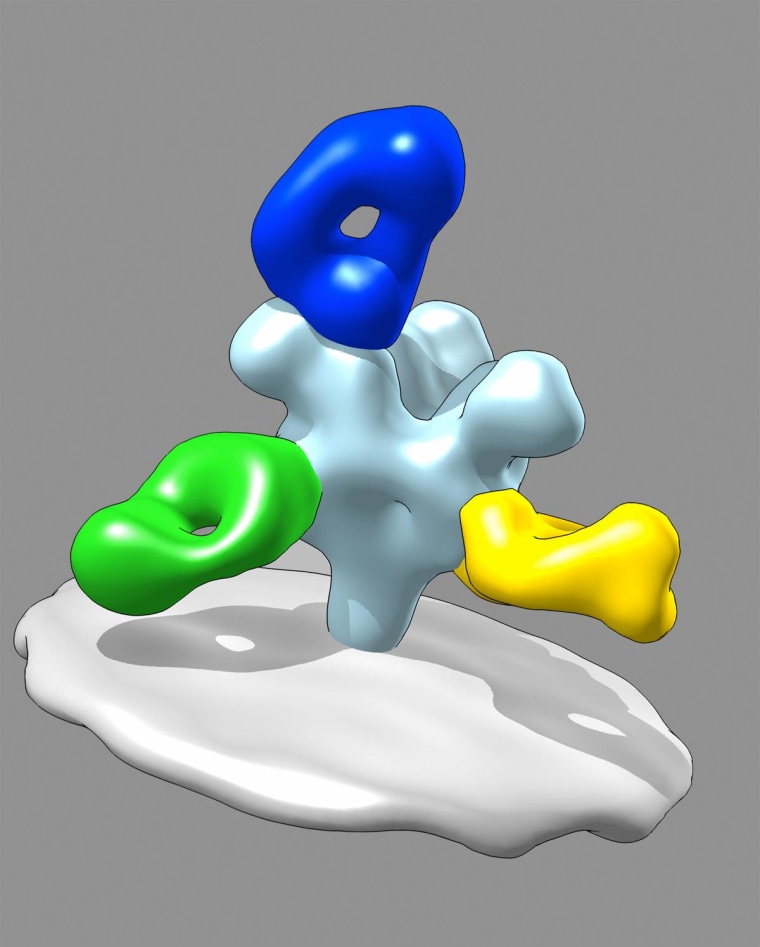 Image: A rendering of the Ebola surface protein and the antibodies that make up 'the ZMapp cocktail'