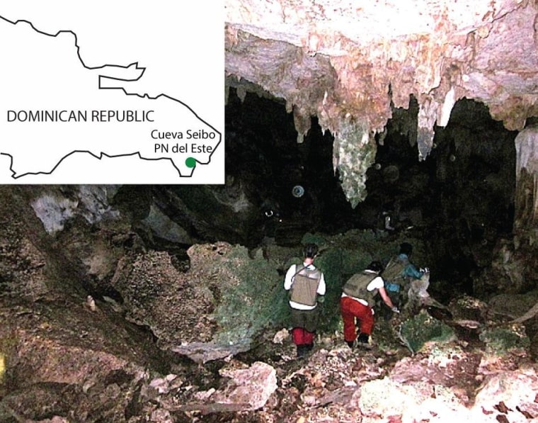 Cueva Seibo, shown here, is located in the Dominican Republic's East National Park, as indicated on the inset map. The cave has a relatively small bat population, which researchers say may help explain why eyeless spiders are able to survive there.