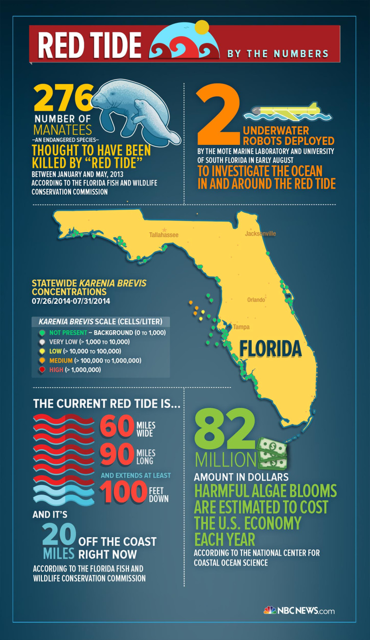 Red Tide Florida 2025 Map