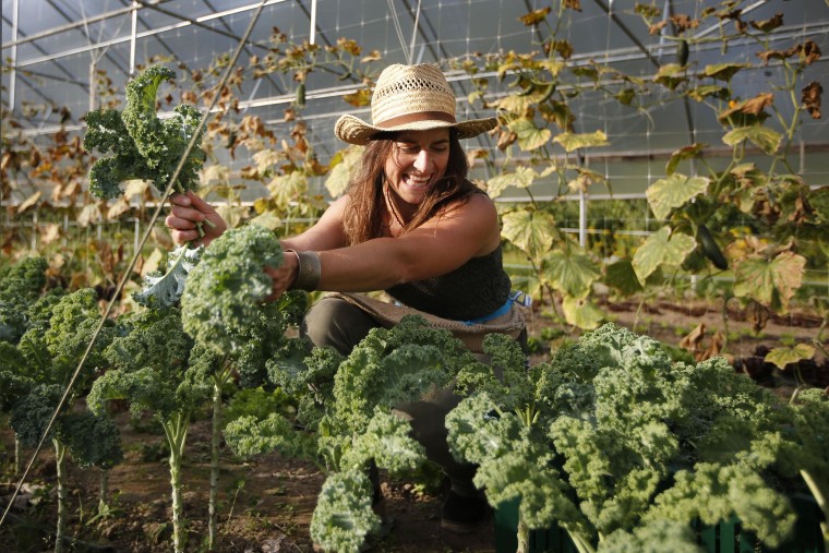 Image: Gleaning produce in Maine