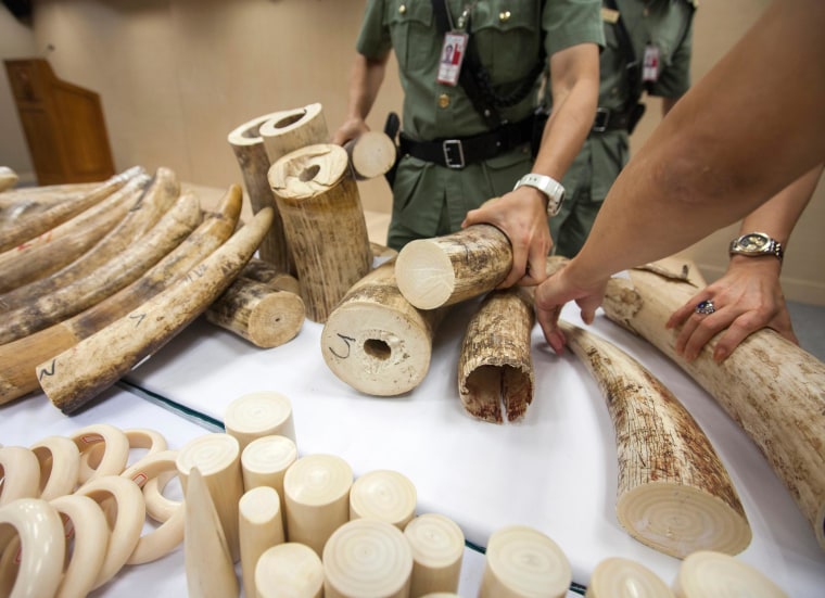 Image: Hong Kong Customs officers display seized ivory at the Hong Kong international airport