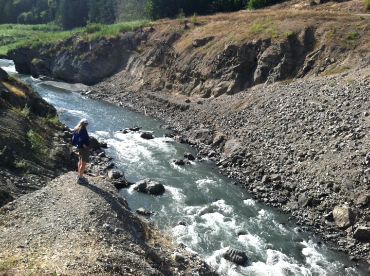 Image: Standing on a bluff at the former Elwha Dam site, a hiker overlooks rapids where the river now runs free.