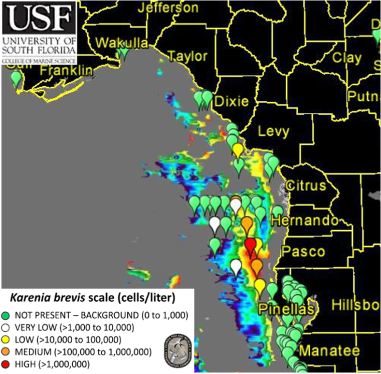 Red Tide Still Looms Along Florida's Gulf Coast