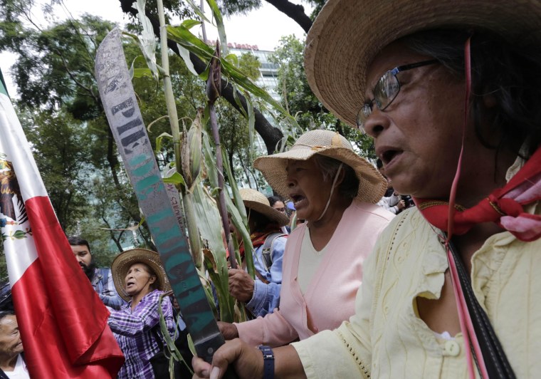 Image: Mexican farmers and activists hold up machetes and corn stalks during march protesting government's plan to take their land for a new airport, at Reforma Avenue in Mexico Cit