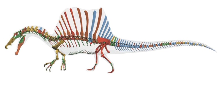Image: Spinosaurus bones