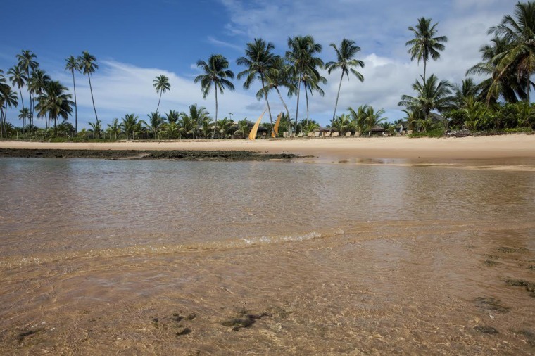 Image: Marau Peninsula, town of Barra Grande, state of Bahia in Brazil.