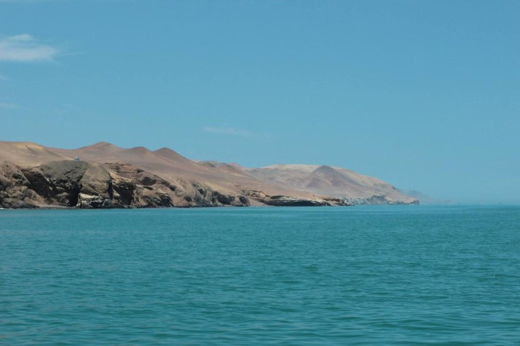Image: Paracas, a desert reserve located near Las Islas Ballestas.