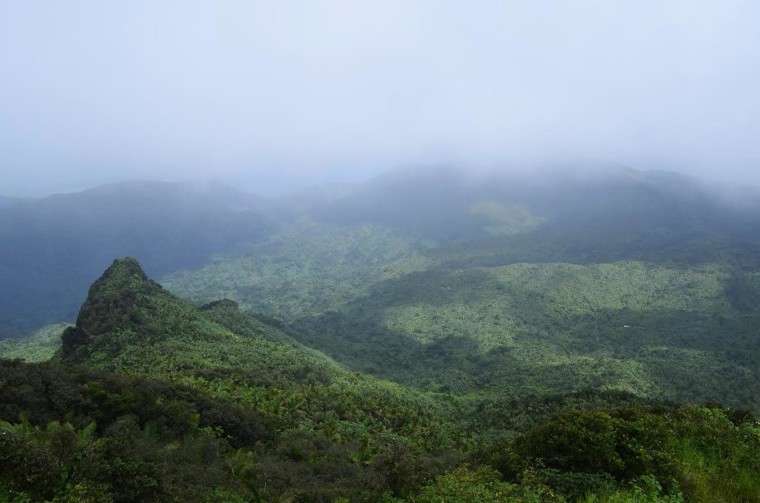 Image: El Yunque National Forest in Rio Grande, Puerto Rico.