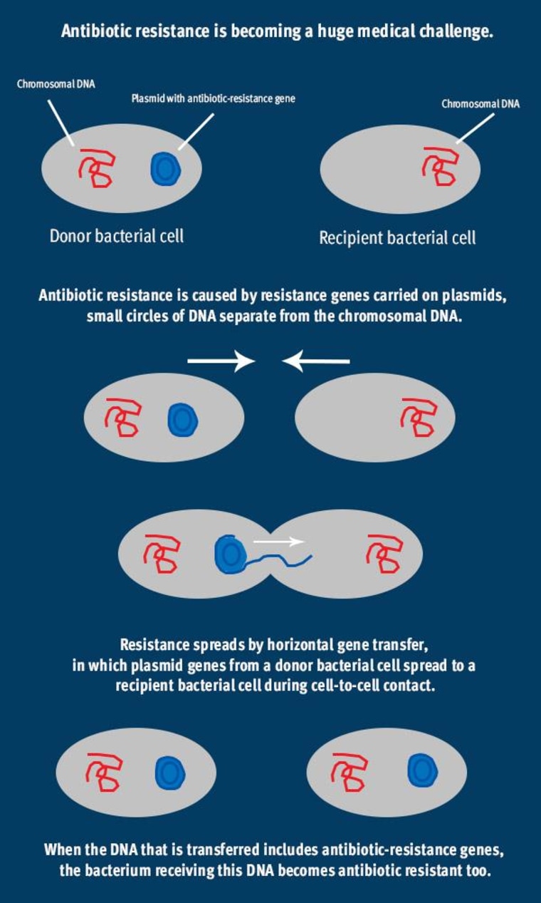 Image: Antibiotic resistance is becoming a huge medical challenge.