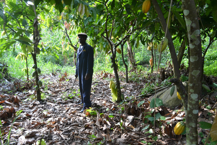 Justice Obini, 52, on his cocoa farm in the village of Burko, 120 miles northwest of Accra, Ghana’s capital city.