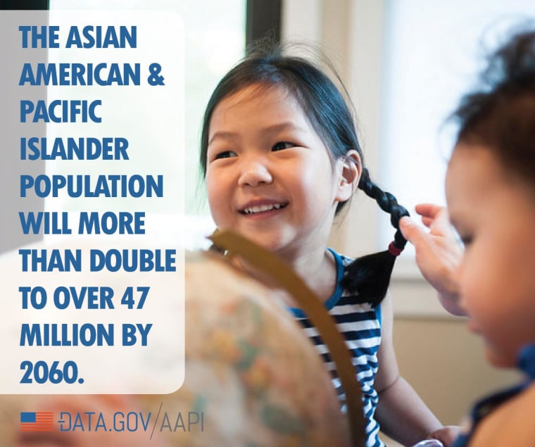 Data.gov/aapi infographic