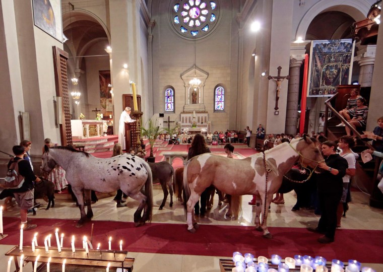 Image: Horses wait to be blessed during a mass to honour Saint Francis of Assisi at the Saint Pierre D'Arene church in Nice