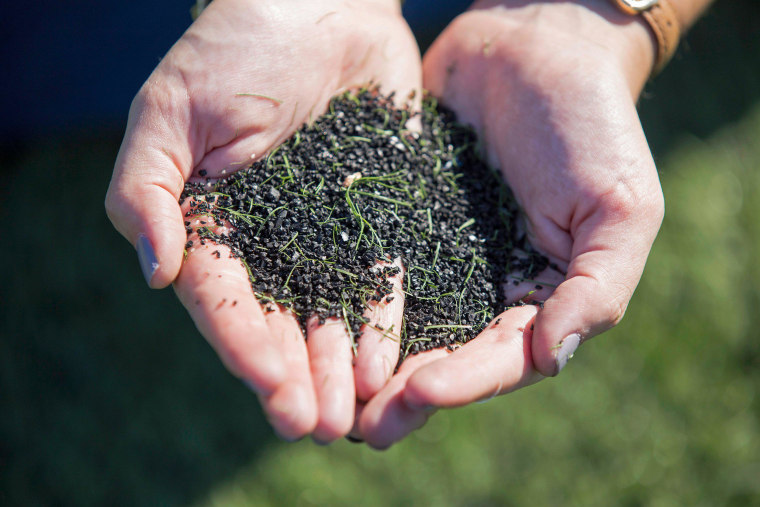 Image: A soccer player holds a pile of crumb rubber infill, collected from an artificial turf field