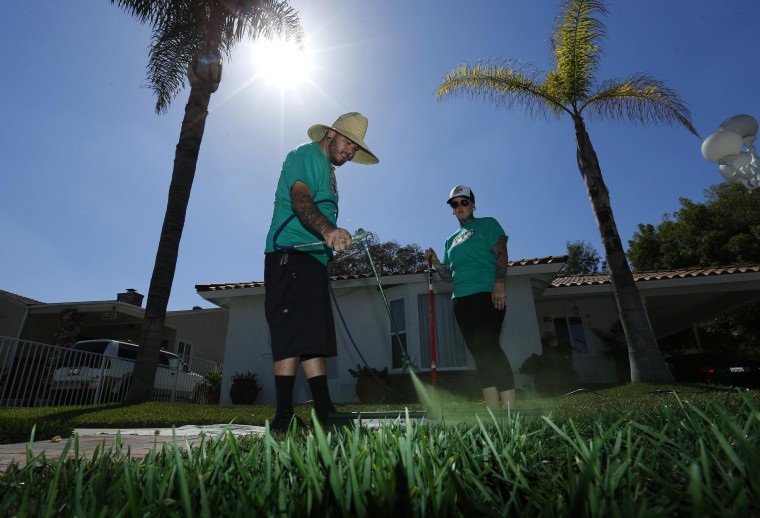 Image: Gardeners paint green dye onto drought-affected grass in Santa Fe Springs, California