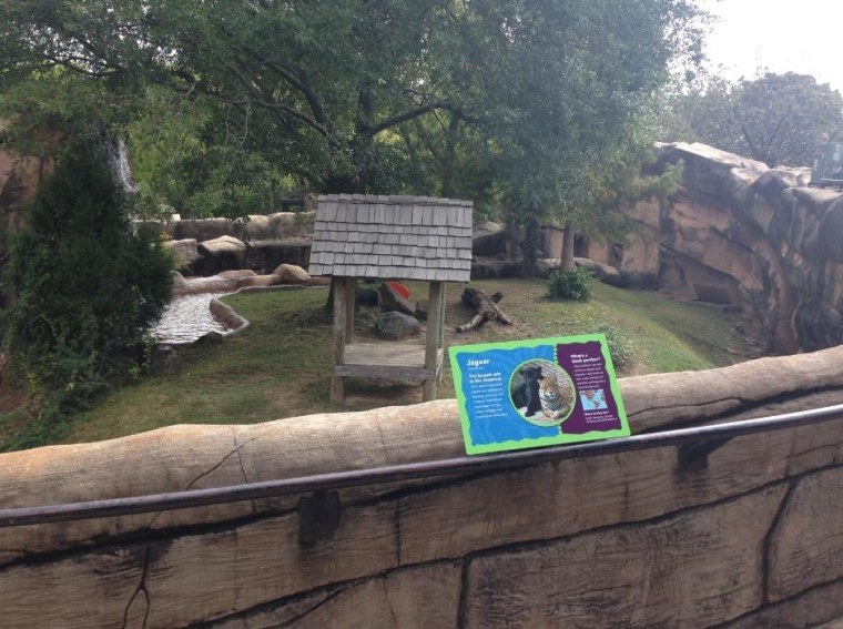 Image: Little Rock Zoo Jaguar Enclosure
