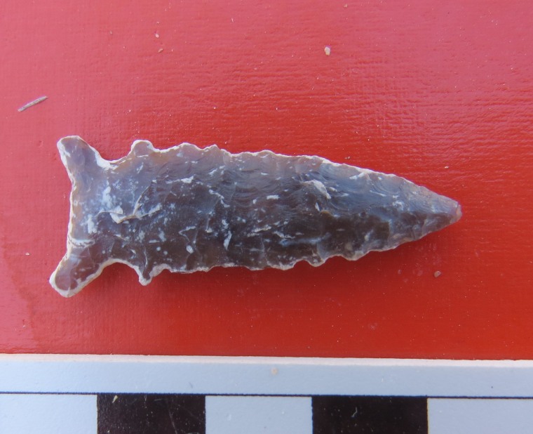 Image: Projectile point