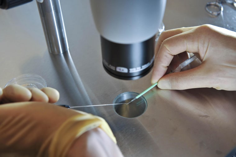 Image: Embryos are placed onto a CryoLeaf ready for instant freezing