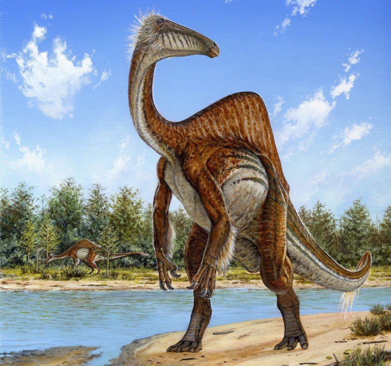 Image: Deinocheirus mirificus, the largest known member of a group of ostrich-like dinosaurs