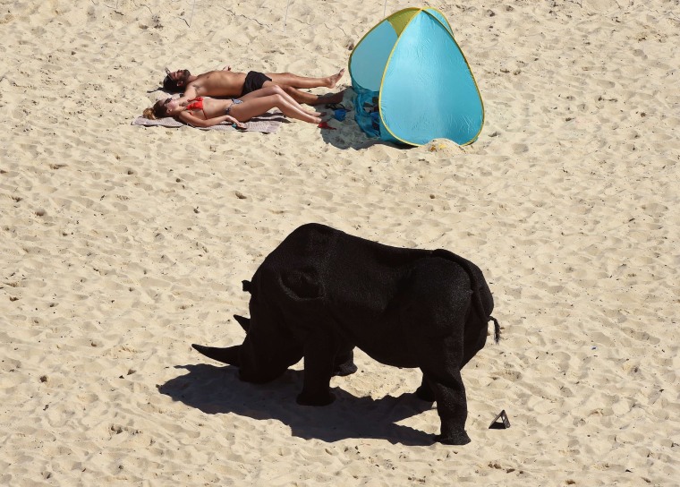 Image: Rhinoceros Sculpture on Sydney's Tamarama Beach