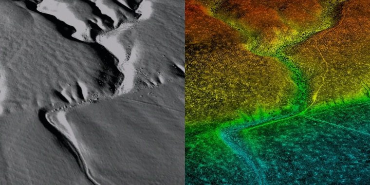 A pair of images derived from Lidar instruments.